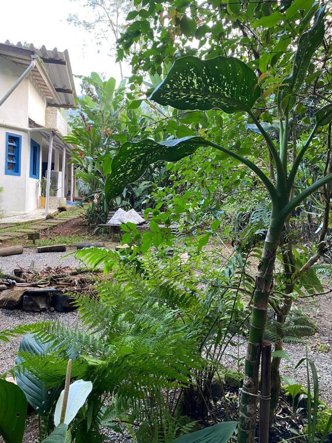 Casa Dos Ventos - Refugio, Sustentabilidade, Conexao อูบาตูบา ภายนอก รูปภาพ