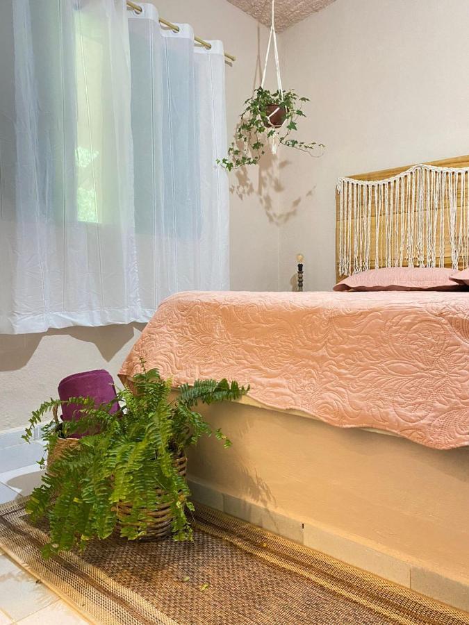 Casa Dos Ventos - Refugio, Sustentabilidade, Conexao อูบาตูบา ภายนอก รูปภาพ