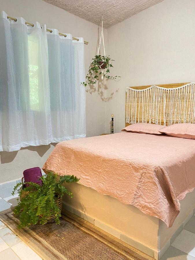 Casa Dos Ventos - Refugio, Sustentabilidade, Conexao อูบาตูบา ภายนอก รูปภาพ
